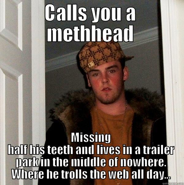 CALLS YOU A METHHEAD MISSING HALF HIS TEETH AND LIVES IN A TRAILER PARK IN THE MIDDLE OF NOWHERE. WHERE HE TROLLS THE WEB ALL DAY... Scumbag Steve