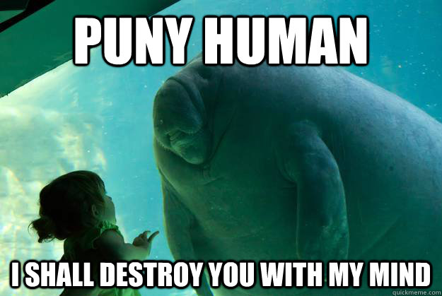 Puny Human I shall destroy you with my mind  Overlord Manatee