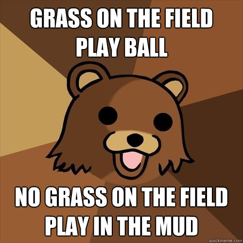 grass on the field 
play ball no grass on the field
play in the mud  Pedobear