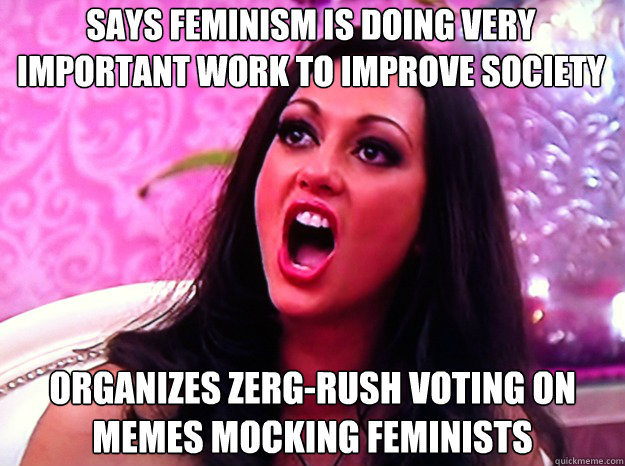 says feminism is doing very important work to improve society organizes zerg-rush voting on memes mocking feminists  Feminist Nazi