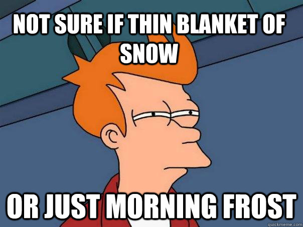 Not sure if thin blanket of snow or just morning frost  Futurama Fry