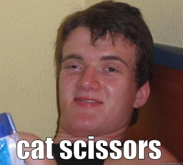  CAT SCISSORS 10 Guy