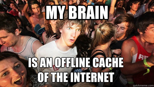 My brain is an offline cache
of the internet  - My brain is an offline cache
of the internet   Misc