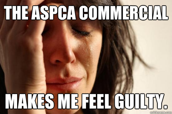 The ASPCA commercial  Makes me feel guilty. - The ASPCA commercial  Makes me feel guilty.  First World Problems