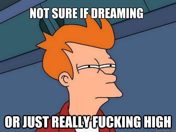 Not sure if dreaming or just really fucking high  Futurama Fry