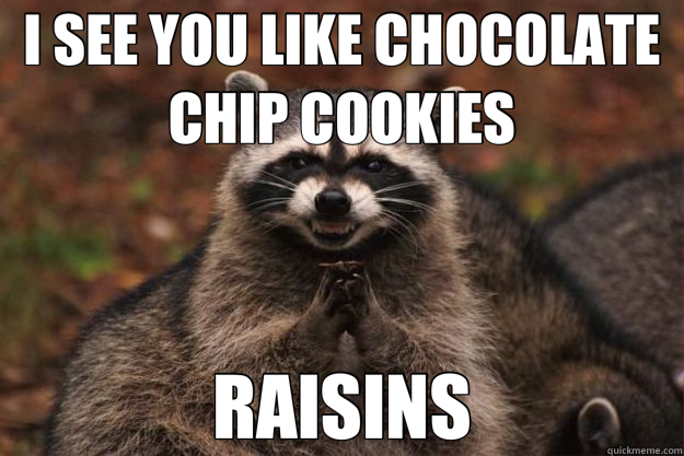 I SEE YOU LIKE CHOCOLATE CHIP COOKIES RAISINS - I SEE YOU LIKE CHOCOLATE CHIP COOKIES RAISINS  Evil Plotting Raccoon