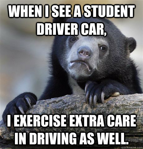 When I see a student driver car, I exercise extra care in driving as well. - When I see a student driver car, I exercise extra care in driving as well.  Confession Bear