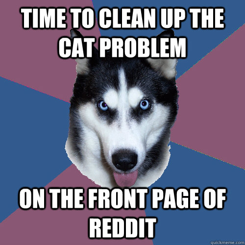 Time to clean up the cat problem on the front page of reddit  Creeper Canine