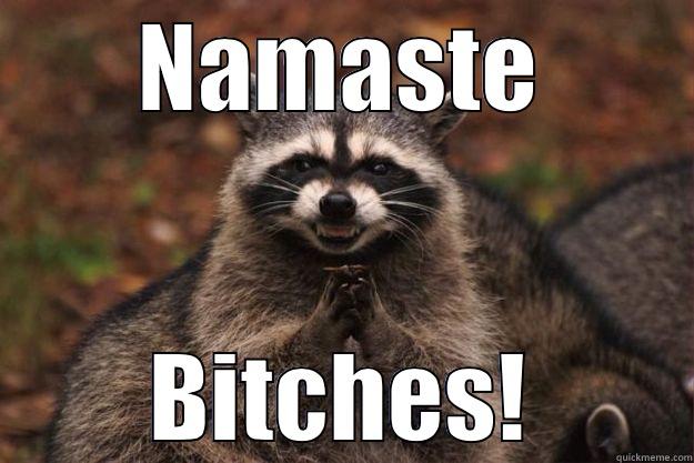 NAMASTE BITCHES! Evil Plotting Raccoon