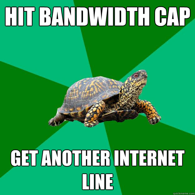 hit Bandwidth cap get another internet line  Torrenting Turtle