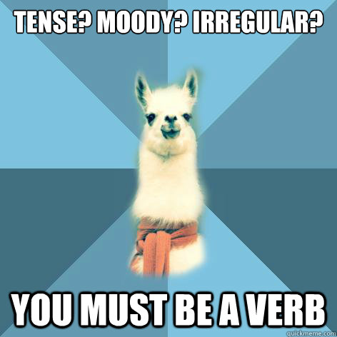 Tense? Moody? Irregular? You must be a verb  Linguist Llama