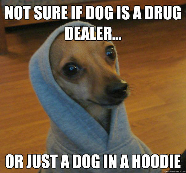 Not sure if dog is a drug dealer... Or just a dog in a hoodie  