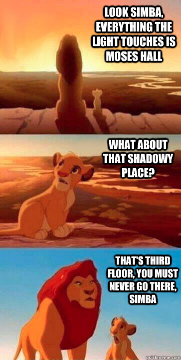 look simba, everything the light touches is moses hall what about that shadowy place? that's third floor, you must never go there, simba - look simba, everything the light touches is moses hall what about that shadowy place? that's third floor, you must never go there, simba  SIMBA