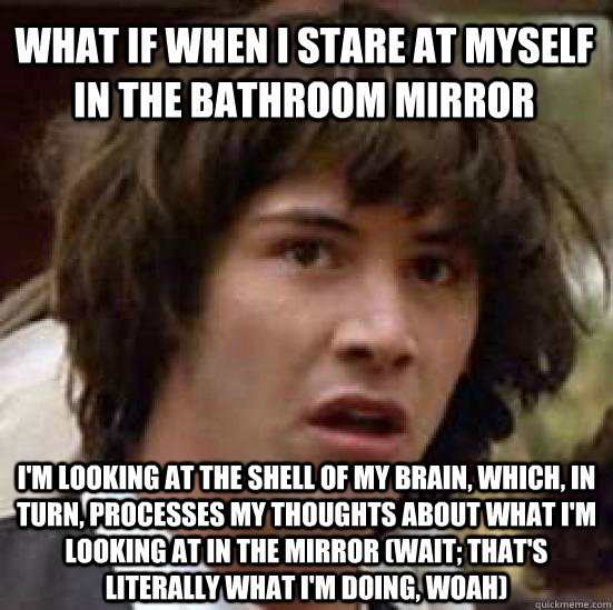 what if when I stare at myself in the bathroom mirror I'm looking at the shell of my brain, which, in turn, processes my thoughts about what I'm looking at in the mirror (wait; that's literally what I'm doing, woah)  conspiracy keanu