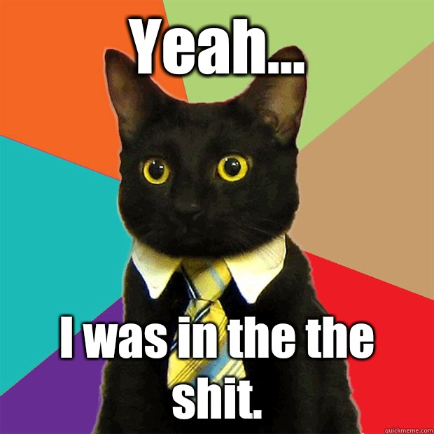 Yeah... I was in the the shit.   Business Cat