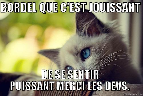 BORDEL QUE C'EST JOUISSANT  DE SE SENTIR PUISSANT MERCI LES DEVS.  First World Problems Cat