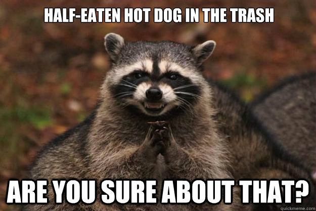 Half-eaten hot dog in the trash Are you sure about that?  Evil Plotting Raccoon