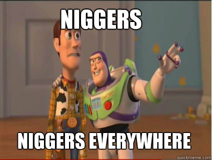 niggers niggers everywhere  woody and buzz