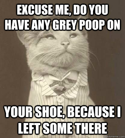 Excuse me, do you have any grey poop on your shoe, because I left some there  Aristocat