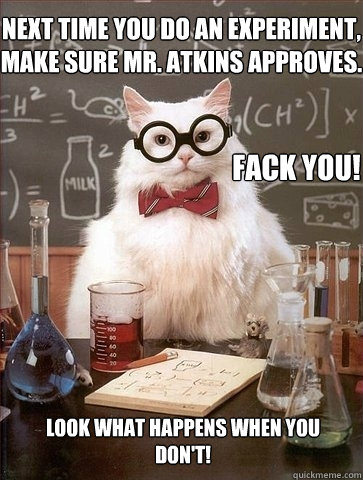 Next time you do an experiment, make sure Mr. Atkins approves. Look what happens when you don't! FACK YOU!  Chemistry Cat