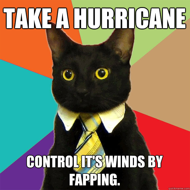 tAKE A HURRICANE
 CONTROL IT'S WINDS BY FAPPING.  Business Cat