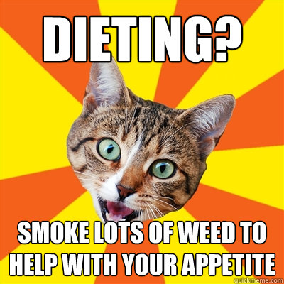 Dieting? Smoke lots of weed to help with your appetite  Bad Advice Cat