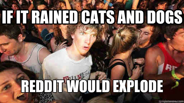 If it rained cats and dogs reddit would explode - If it rained cats and dogs reddit would explode  Misc