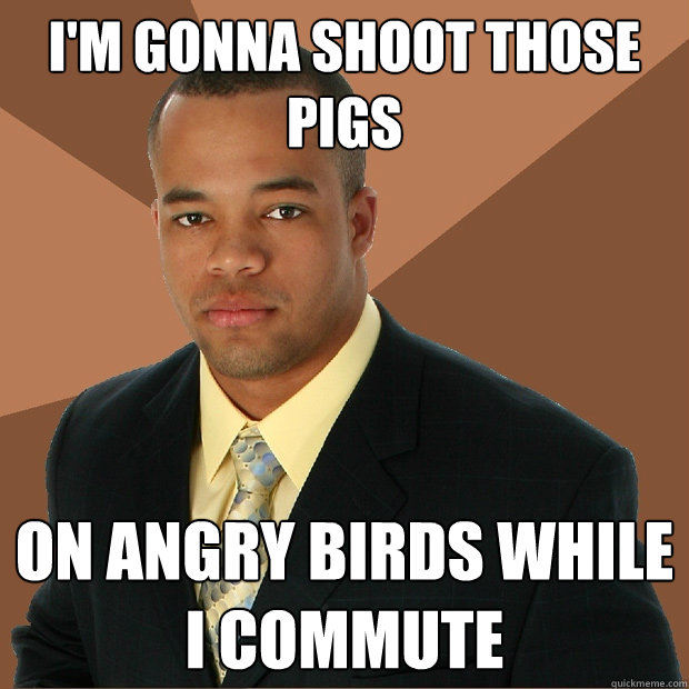 I'm gonna shoot those pigs On angry birds while I commute  Successful Black Man