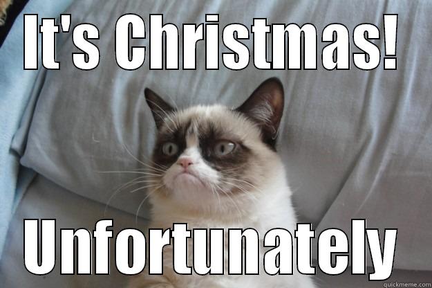 IT'S CHRISTMAS! UNFORTUNATELY Grumpy Cat