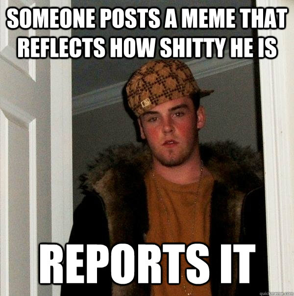 someone posts a meme that reflects how shitty he is reports it  Scumbag Steve