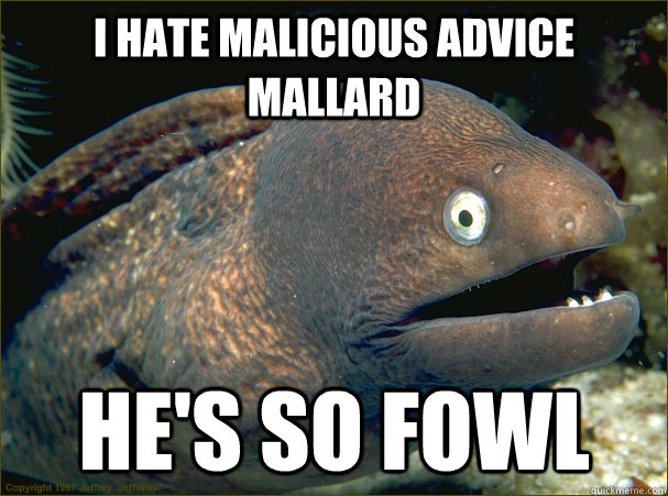 i hate malicious advice mallard he's so fowl - i hate malicious advice mallard he's so fowl  Bad Joke Eel