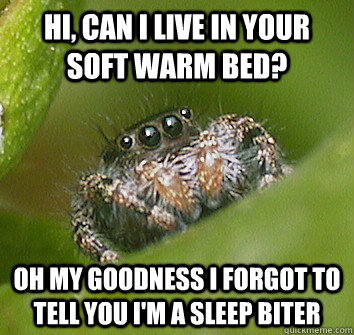 Hi, can I live in your soft warm bed? oh my goodness i forgot to tell you i'm a sleep biter - Hi, can I live in your soft warm bed? oh my goodness i forgot to tell you i'm a sleep biter  Misunderstood Spider