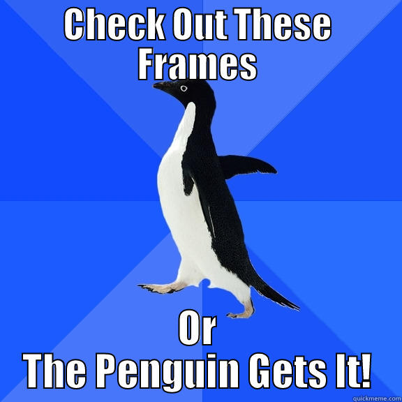 CHECK OUT THESE FRAMES OR THE PENGUIN GETS IT! Socially Awkward Penguin