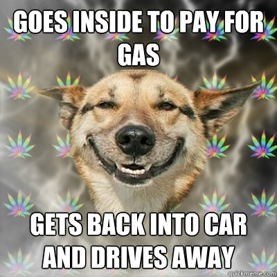 goes inside to pay for gas gets back into car and drives away  Stoner Dog