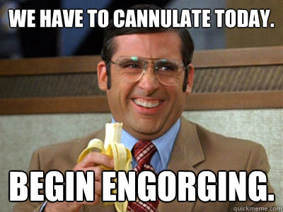 We have to cannulate today. Begin Engorging. - We have to cannulate today. Begin Engorging.  Brick Tamland