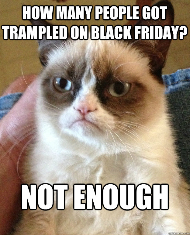 How many people got trampled on black friday? Not enough  Grumpy Cat