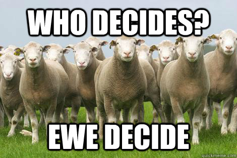 Who decides? ewe decide  Youth Decide