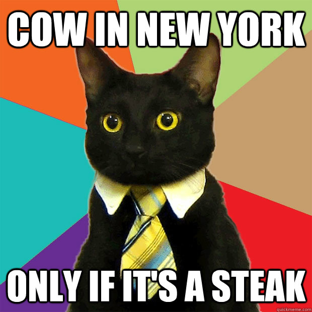 Cow in New York Only if it's a steak  Business Cat