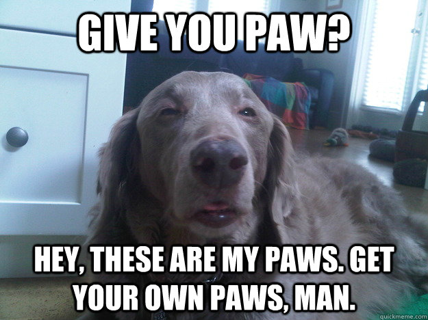 Give you paw? Hey, These are my paws. Get your own paws, man.  10 Dog