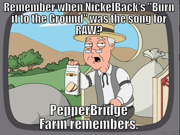 REMEMBER WHEN NICKELBACK'S 