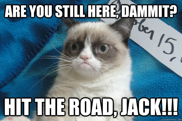 are you still here, dammit? hit the road, jack!!! - are you still here, dammit? hit the road, jack!!!  Grumpy Cat