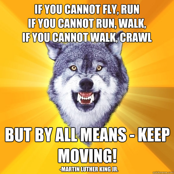 If you cannot fly, run
if you cannot run, walk,
if you cannot walk, crawl but by all means - keep moving! -Martin Luther King Jr.  Courage Wolf