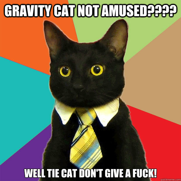 Gravity Cat Not Amused???? Well Tie Cat Don't Give A Fuck!  Business Cat