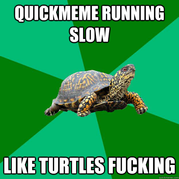 quickmeme running slow like turtles fucking - quickmeme running slow like turtles fucking  Torrenting Turtle