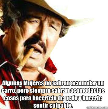 Algunas Mujeres no sabran acomodar un carro, pero siempre sabran acomodar las cosas para hacertela de pedo y hacerte sentir culpable.  