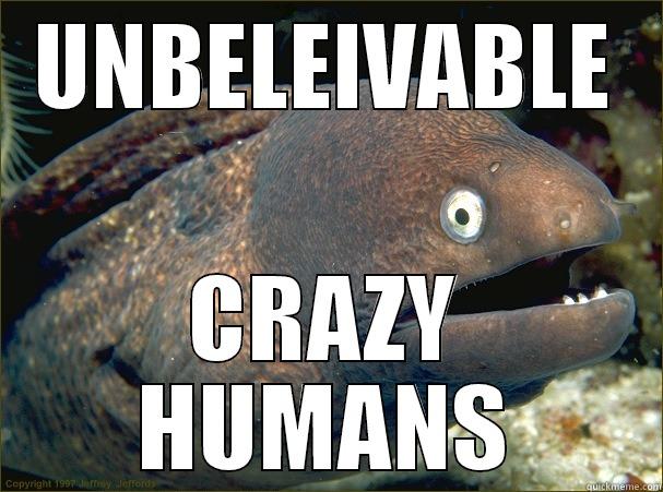 UNBELEIVABLE CRAZY HUMANS Bad Joke Eel