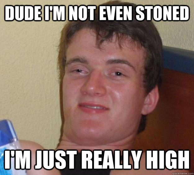 Dude i'm not even stoned I'm just really high  10 Guy