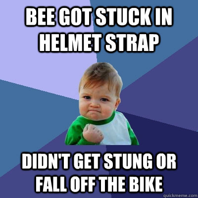 Bee Got Stuck in helmet strap Didn't get stung or fall off the bike  Success Kid