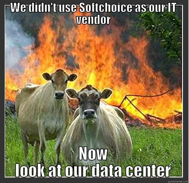 WE DIDN'T USE SOFTCHOICE AS OUR IT VENDOR NOW LOOK AT OUR DATA CENTER Evil cows