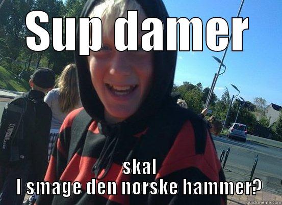 SUP DAMER SKAL I SMAGE DEN NORSKE HAMMER? Misc